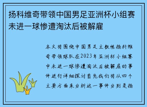 扬科维奇带领中国男足亚洲杯小组赛未进一球惨遭淘汰后被解雇